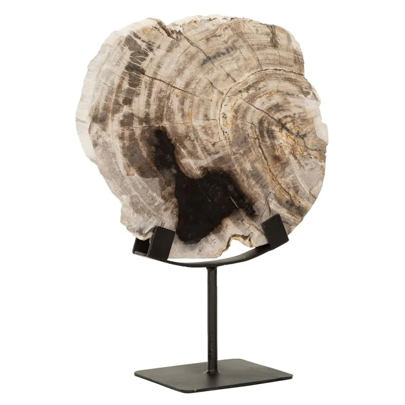 Rabatt Fossile Statue
