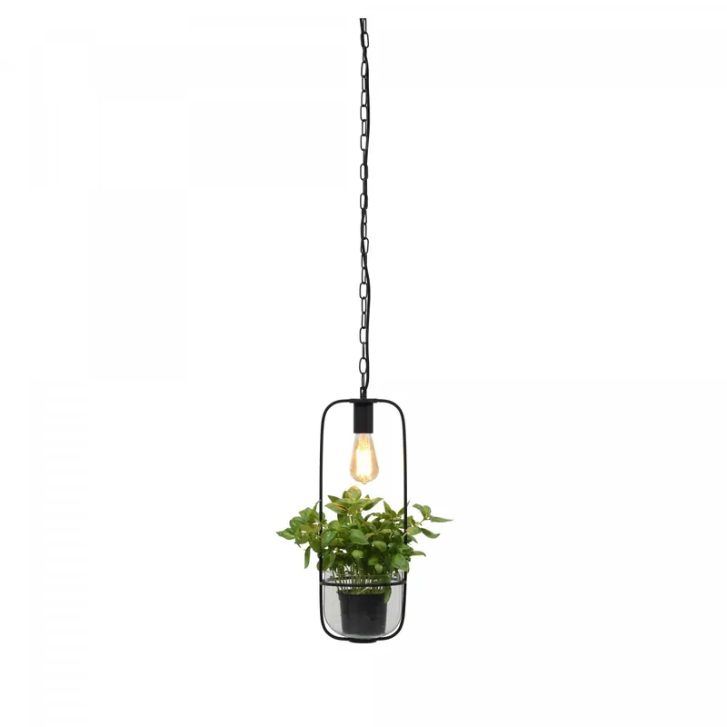 Neue Ware Florence Pendelleuchte