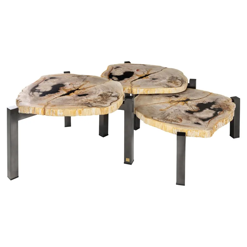 Schneller Versand Set mit 3 Tischen aus versteinertem Holz