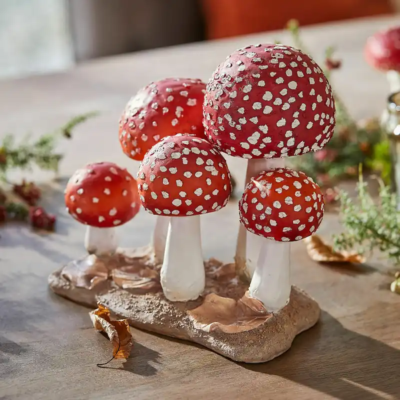 Deko-Pilze Quintelle Bestpreis