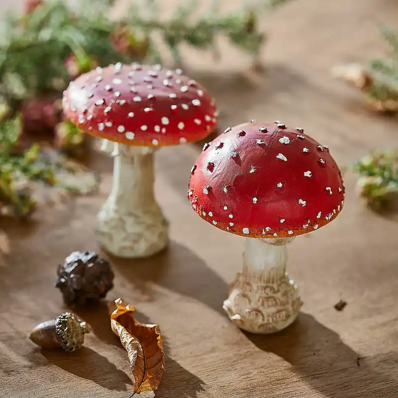 Deko-Pilz 2er Set Quintelle Jetzt Bestellen