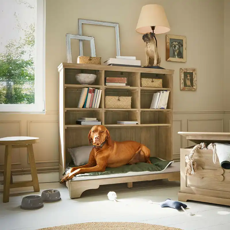 Hundebett Céloniqu Preisreduziert