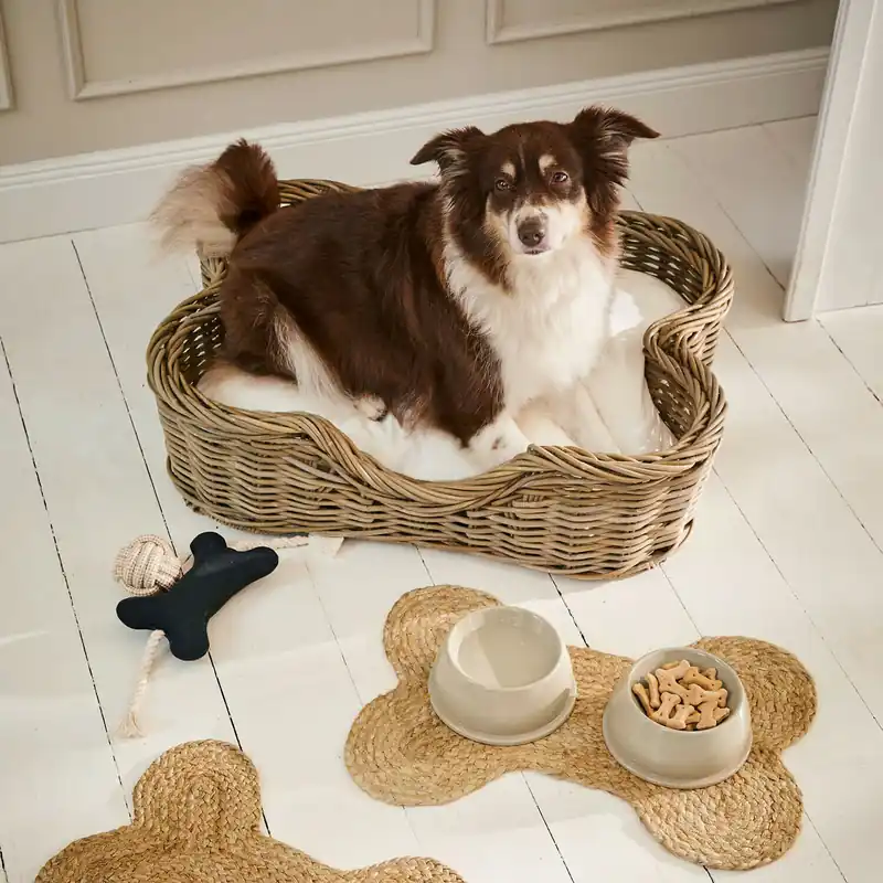 Schneller Versand Hundekorb Ninloo