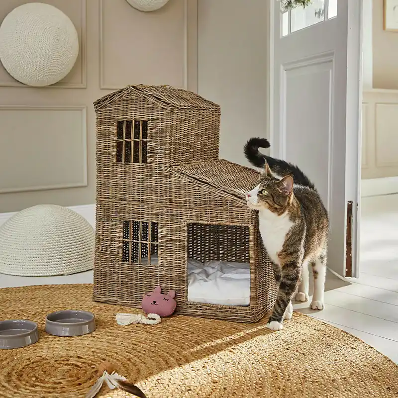 Katzenhaus Ravnda Schnäppchen