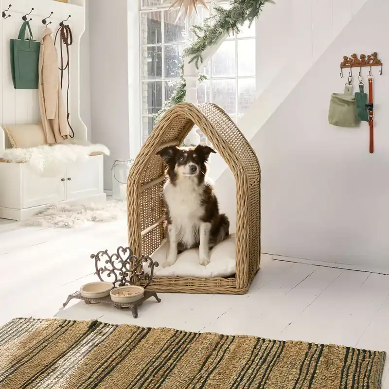 Hundehütte Muffan Aktuell