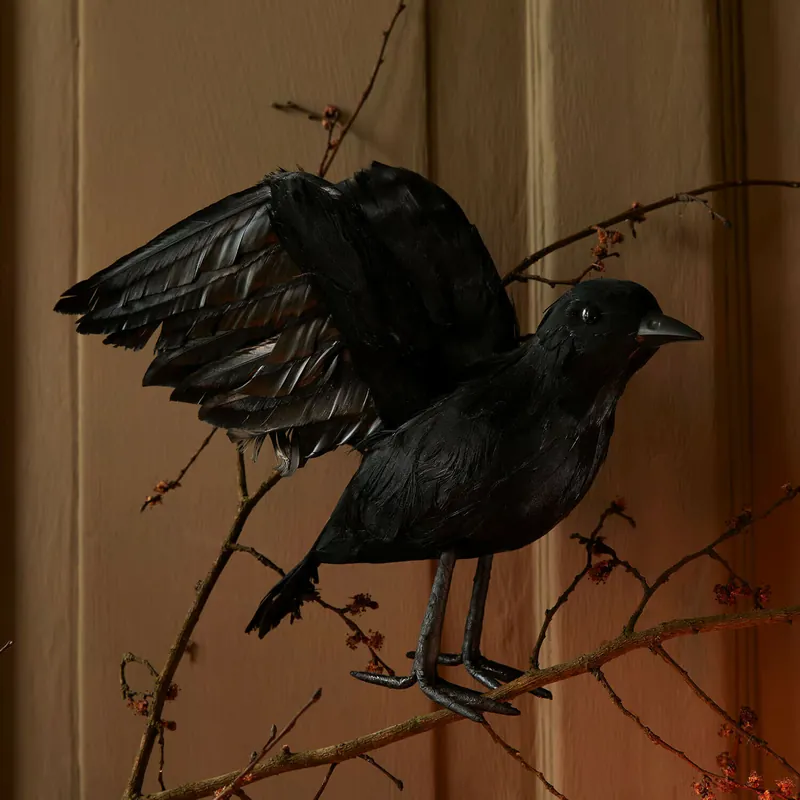 Deko-Vogel Faelron Letzte Chance