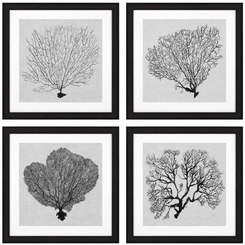 Sonderangebot Casa Padrino Images Set of 4 Sea Fern Black / White / Gray 61.5 x H. 61.5 - luxury Art Prints with Wooden Frame