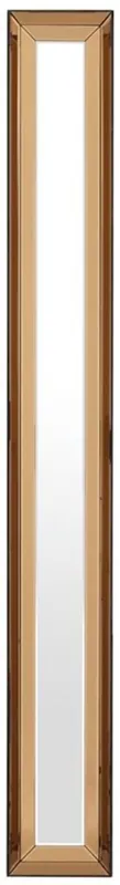 Ausverkauf Casa Padrino miroir / miroir mural de luxe ambre 24,5 x 6,5 x H. 200,5 cm - Mobilier d’Hôtel