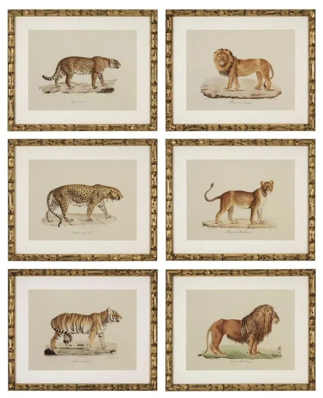 Knallerangebot Casa Padrino Imágenes de Conjunto Lion Tiger Jaguars Oro Antiguo 54 x H. 44 cm - Decoración de Pared de Lujo