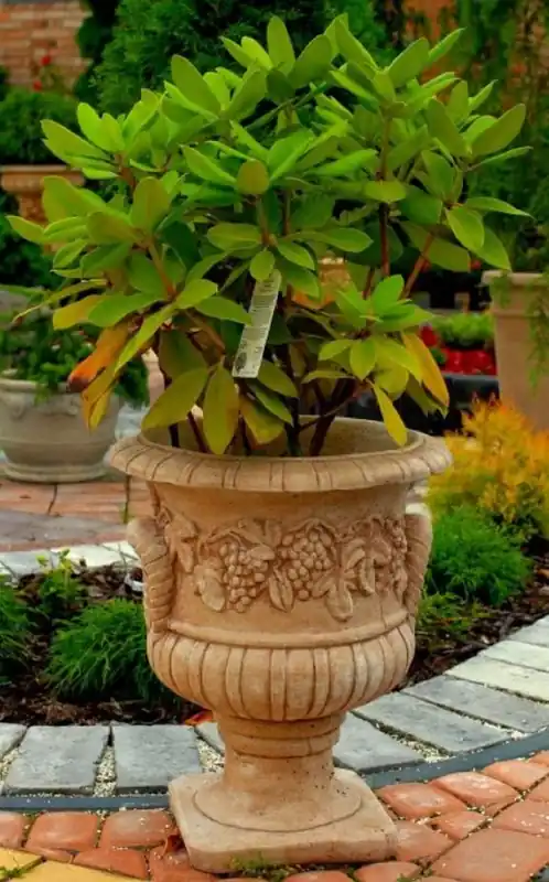 Neue Kollektion Casa Padrino Maceta Barroco Beige Ø 44 x H. 51 cm - Jardinera - Accesorios de Jardín Deco