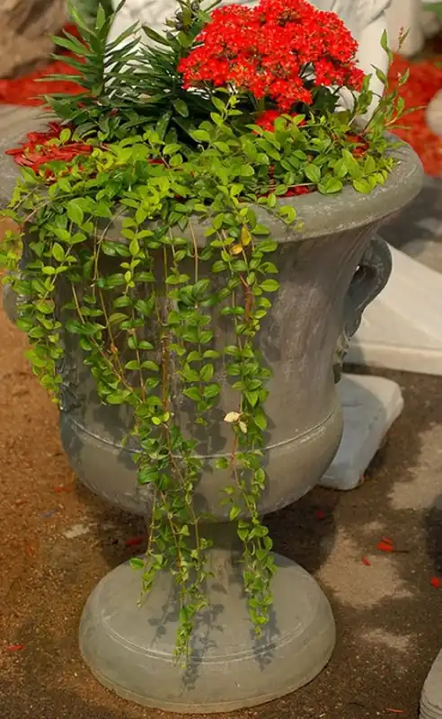 Casa Padrino maceta decorativo de jardín barroco gris antiguo Ø 54 x A. 77 cm - Magnífico macetero de estilo barroco - Accesorios de decoración de terrazas y jardines barrocos Online Kaufen