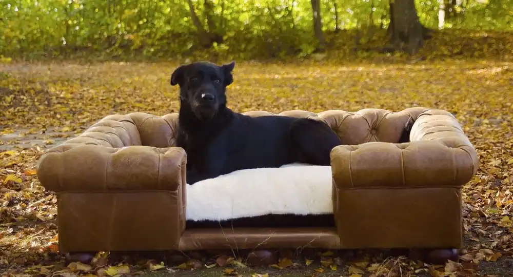 Jetzt Kaufen Casa Padrino cama para perros Chesterfield de lujo marrón vintage / marrón oscuro / blanco / negro 134 x 104 x A. 37 cm - Cama para perros de cuero genuino rectangular - Muebles para Mascotas