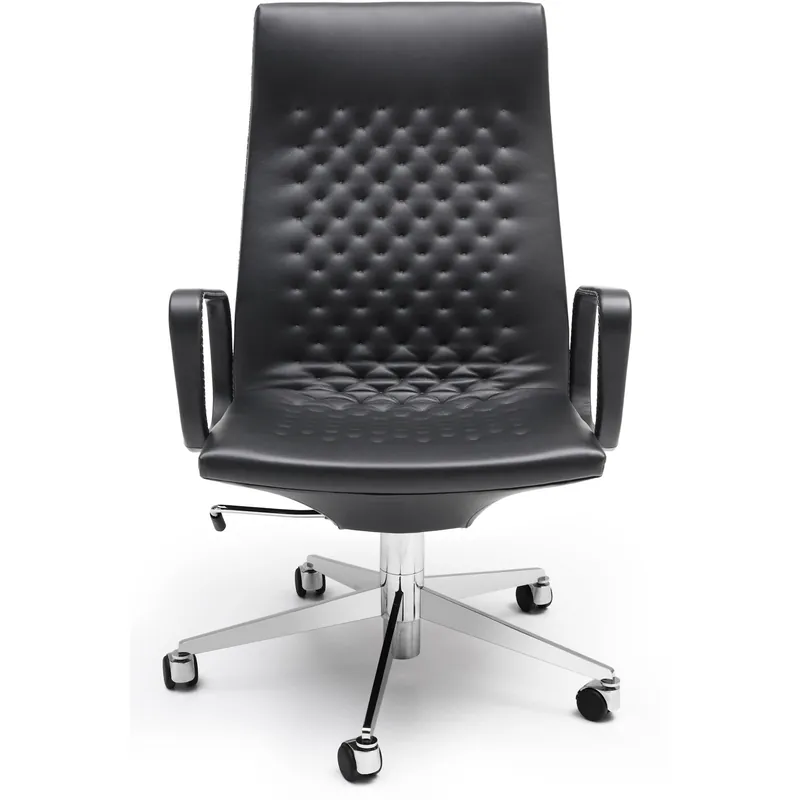 Super-Preis DS-1051 (Exec Chair) von de sede