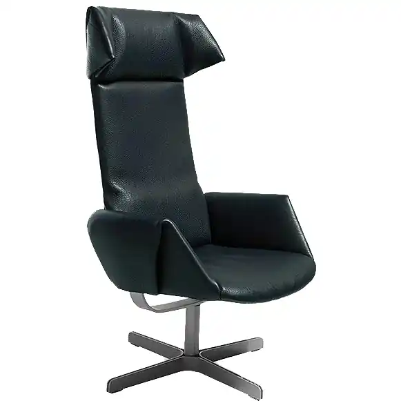 Nur Heute DS-343 von de sede